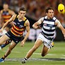 Crows v Cats